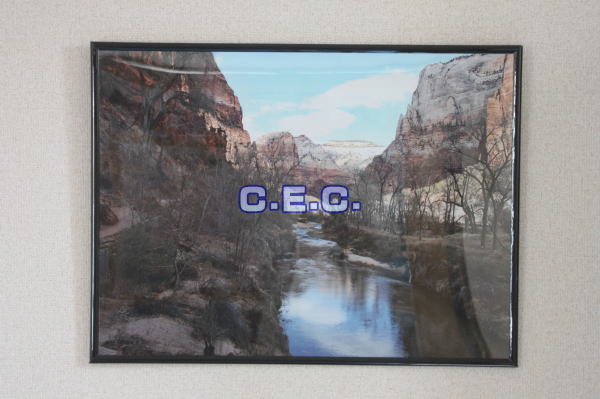 C.E.C.